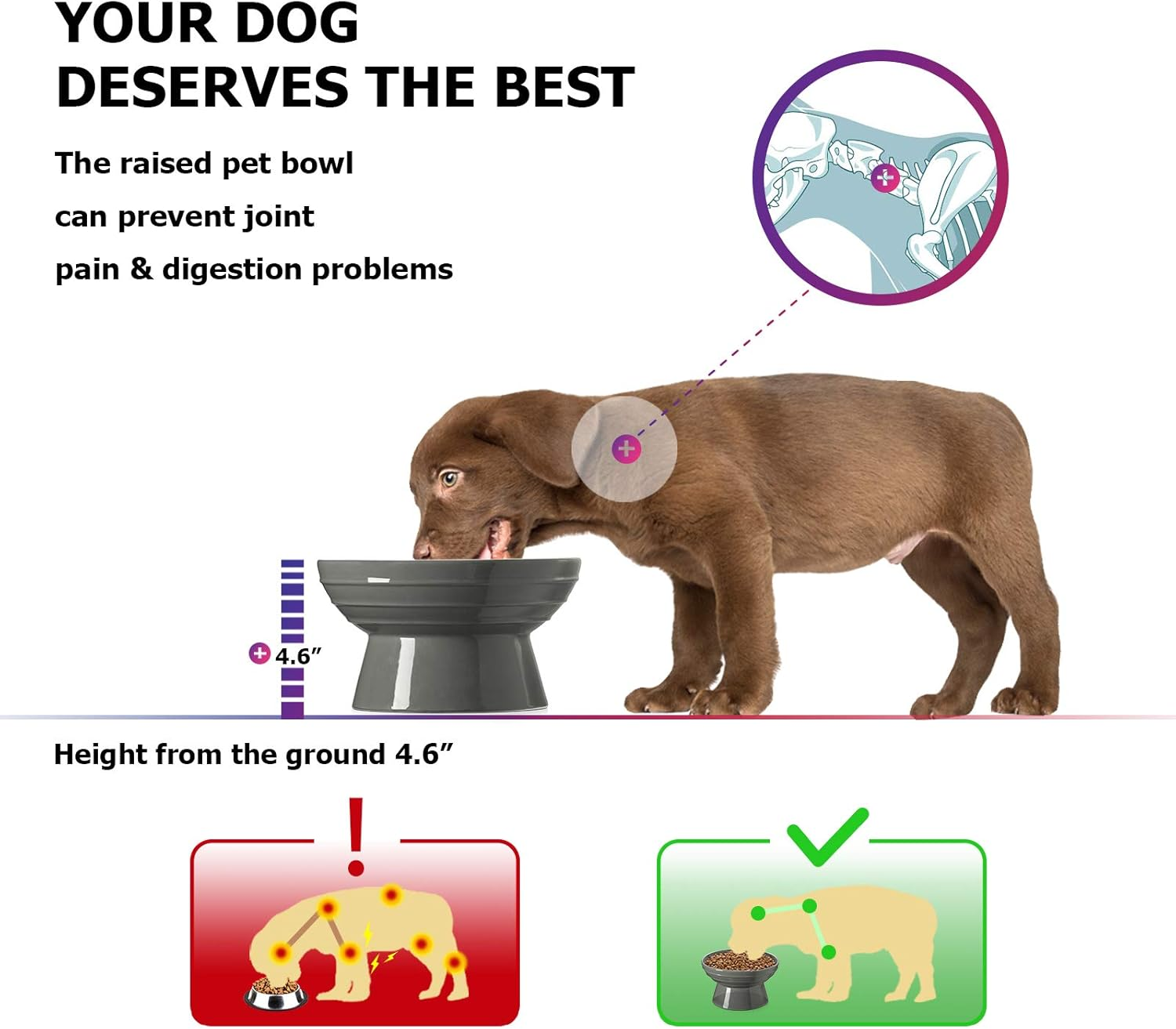 Y YHY Dog Bowl,Elevated Dog Food Bowls,Raised Dog Water Bowls,30 Ounce Ceramic Pet Bowl for Medium Dogs and Adult Cats,Anti-Vomiting,Protection Cervical Spine,Microwave Dishwasher Safe,Grey image number 2