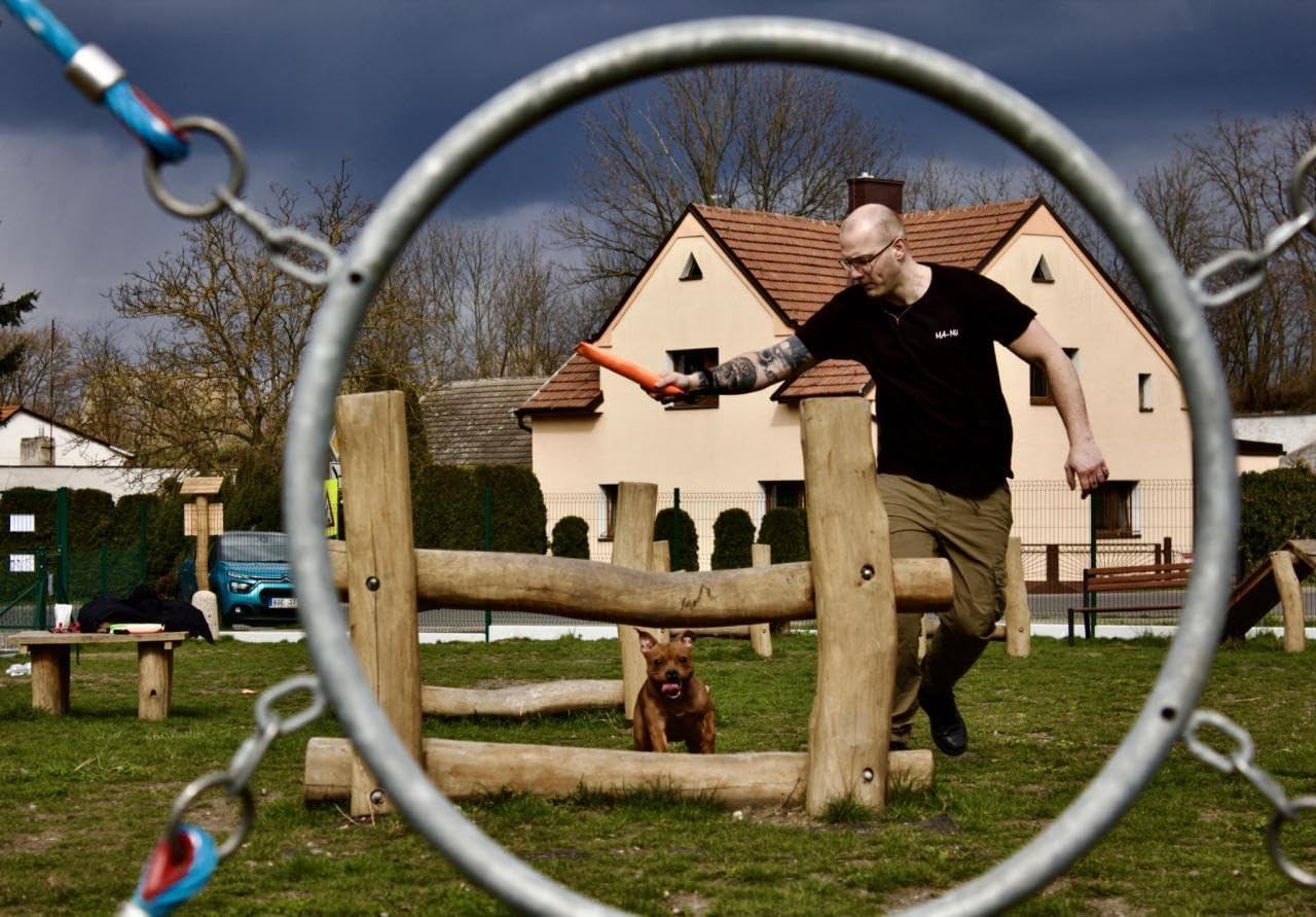 MA-NU Interactive Dog Toy, Heavy Duty Training Toy Designed for Fetch and Tug of War Practice with One Loop (33Cm)