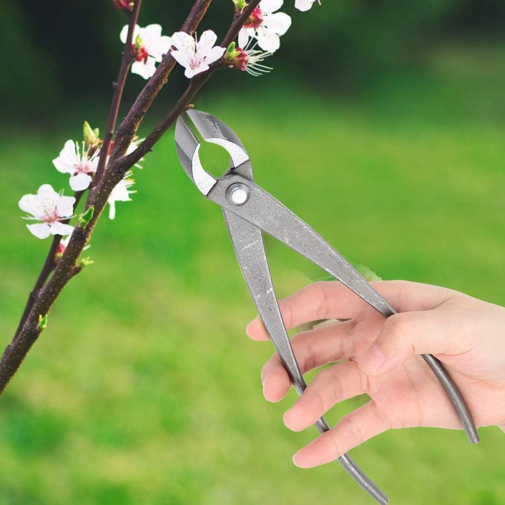 Branch Cutter Pruning Cutter, Multifunctional Garden Shears Bonsai Branch Cutter, Bonsai Gardening Shears Scissors Tool, 21Cm Round-Edged Concave Knotted Pruning Shears Garden Bonsai Tool Scissors (1) image number 3