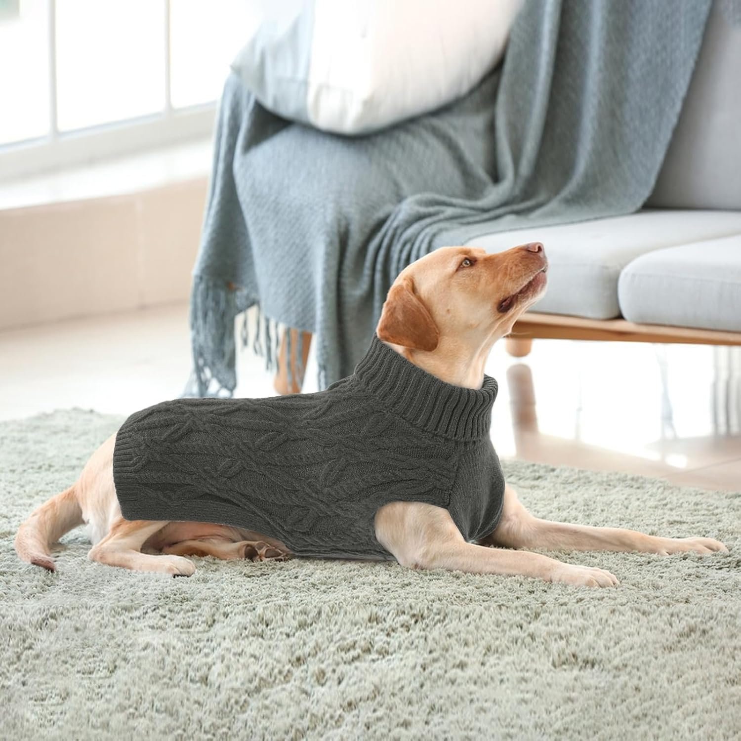 Cats, Dog Jumper, Winter Warm Dog Jumper, Coat, Jacket, Vest, Puppy Clothing, Dog Jumper, Christmas Dog Coat, Small Dogs, Chihuahua Jumper (Grey, XS) image number 3
