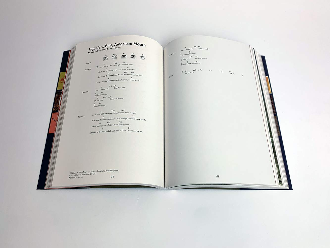 Iron & Wine: the Songbook image number 6