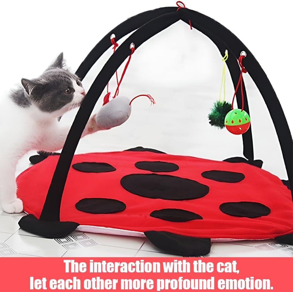 Cats Hammock, Foldable Cat Bed Mat, 45 * 45 * 34Cm, Washable, Cat Activity Center, Helps Cats Get Exercise Stay Active, Red and Black image number 6