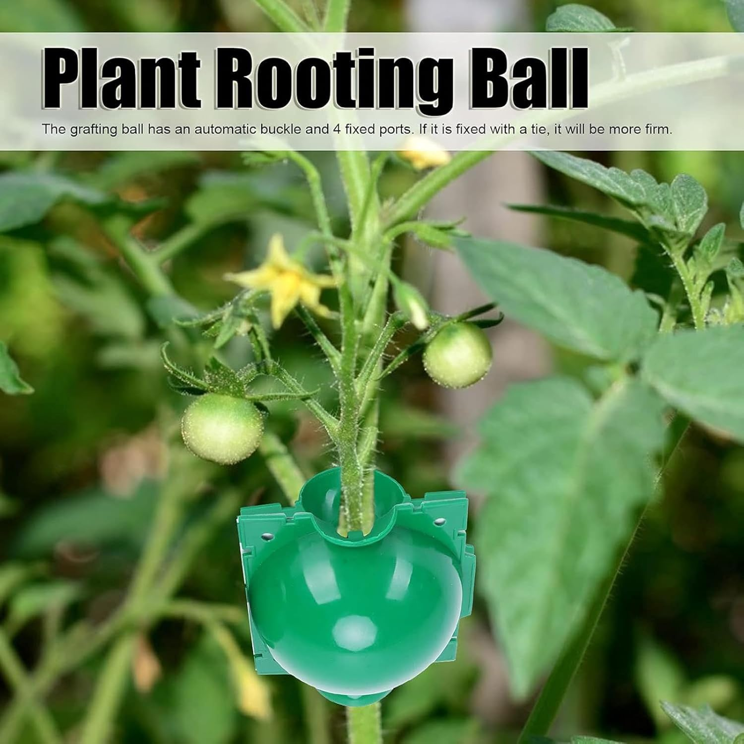 Propagation Ball | Reusable Air Layering Kit - Home & Gardening Accessory for Garden Yard Backyard Pathway Driveway Patio Men image number 3