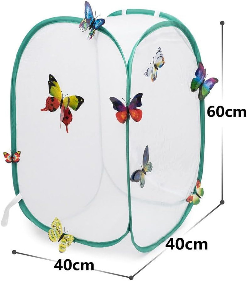 Insect and Butterfly Habitat Cage Terrarium - Pop-Up 60Cm Tall (White) image number 3