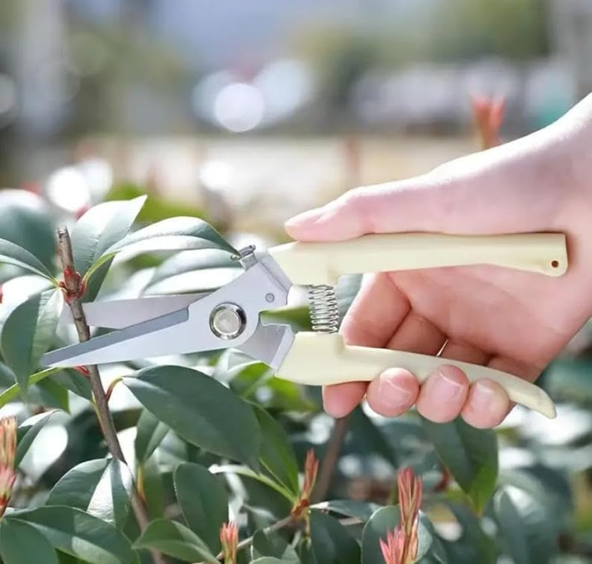 Curve Gardening Scissor Garden Shears with Sharp Blade, 2Pcs Bypass and Straight Blade Garden Clippers, Stainless Steel Pruning Gardening Shears With1 Bypass Pruner and 1 Straight Blade Scissors image number 5