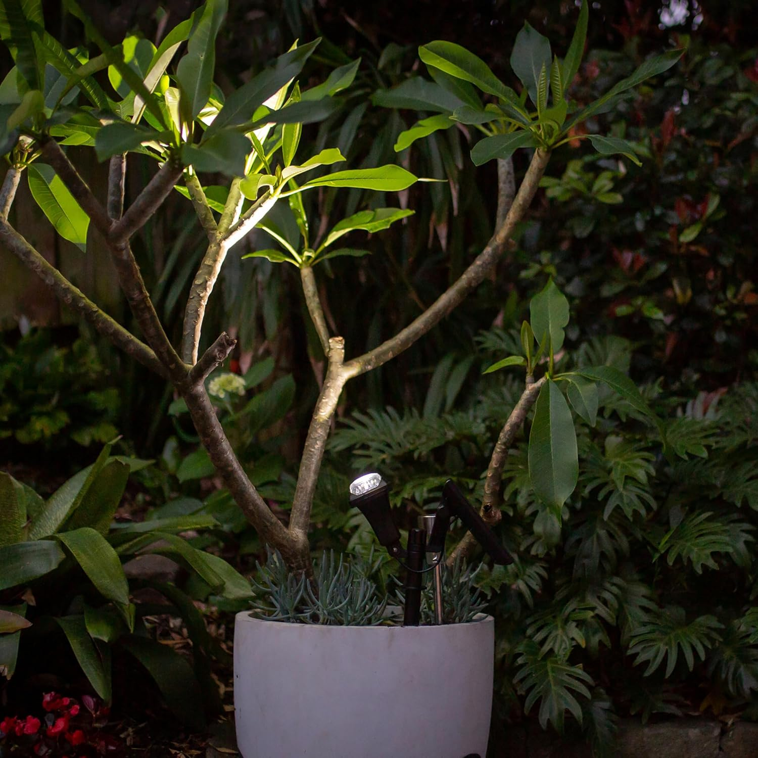 Hoselink Adjustable Solar Garden Spotlight | Ground Spike | 5LED | Focus image number 4