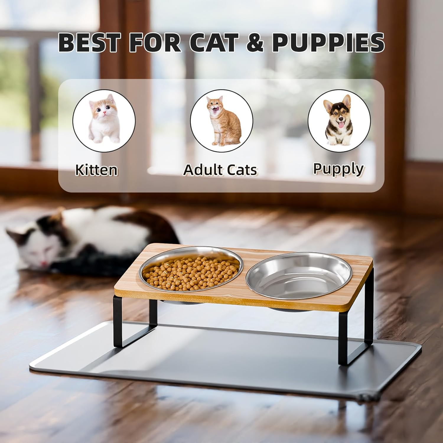Elevated Cat Bowls Whisker Friendly,Cat Food Bowls with Silicone Food Mat,15&deg;Tilted Stand anti Vomiting Raised Cat Dishes for Food and Water,2 Stainless Steel Bowls for Cats and Puppy image number 3