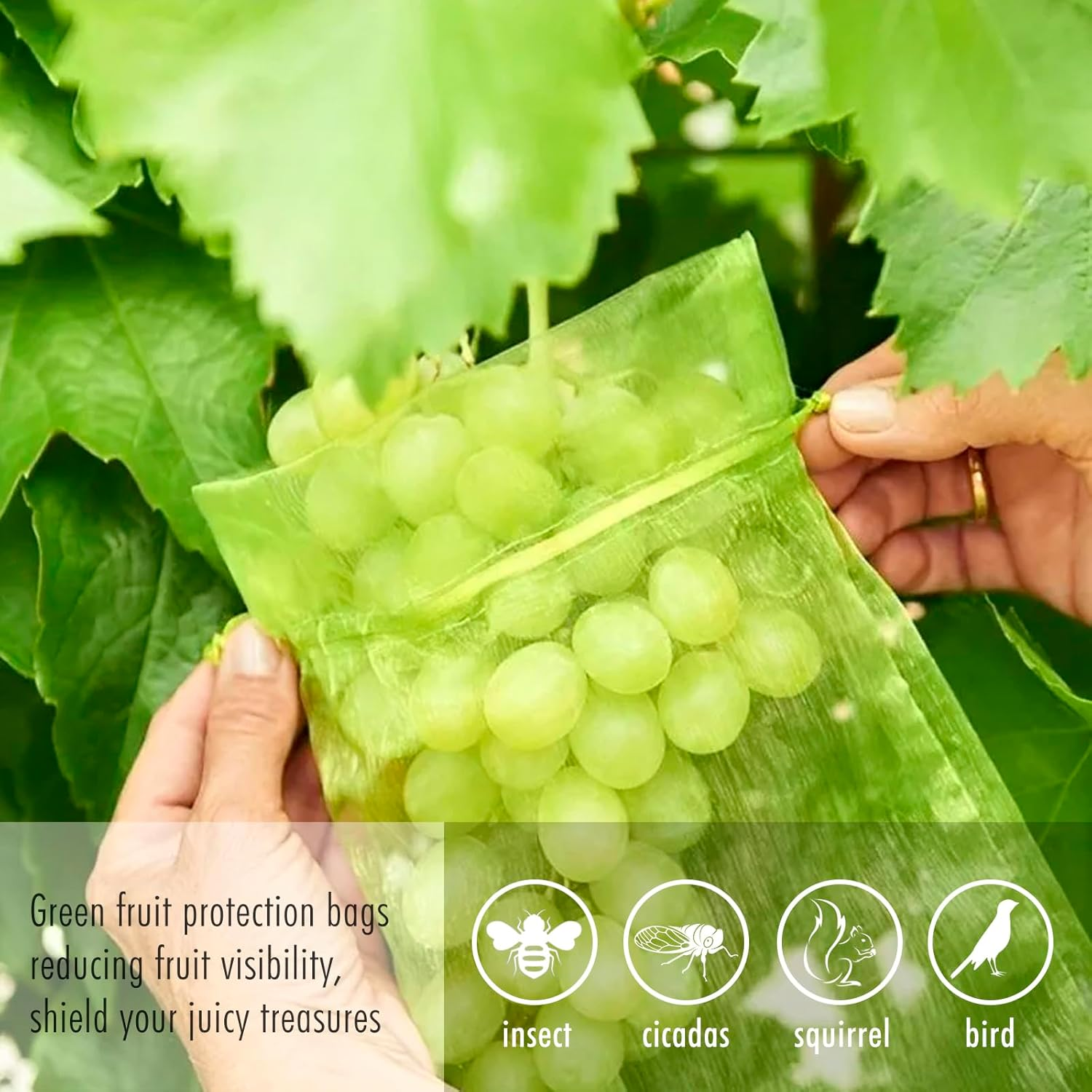 Fruit Protection Bags, Fetanten 50 PCS 6 X 8 Inch Mesh Drawstring Bag for Fruit Trees, Small Green Garden Fruit Plant Netting Cover Bag Protect Blueberry Tomato Apple Mango from Bird Insect Pest image number 2