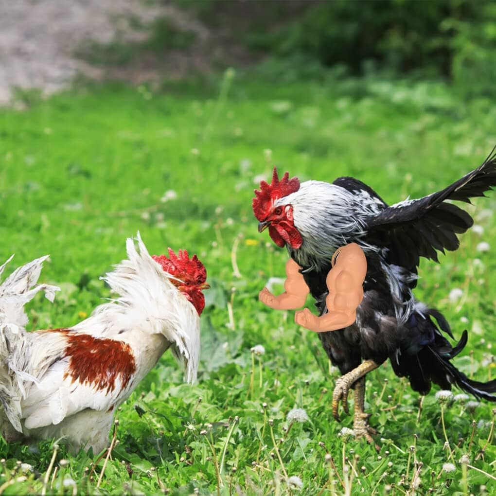 Siliconechickenarmpoultry Prop,1Pair Silicone Chicken Decoration Chicken Arm Poultry Prop,Funny Chicken Arm Wearingpoultryprop,Funnychicken Doll Arm Poultry Prop,Strong Chicken Arms Poultry Prop image number 4