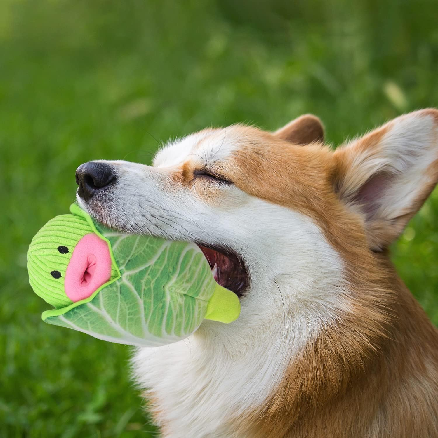 Puzzle Squeaky Dog Toys - Iziv Interactive Puppy Vegetable Plush Snuffle Toy, Food Leakage Dog Chew Toys, Dog Training Toy for Small/Medium Dogs, Treat Dispensing Game(Cabbage)