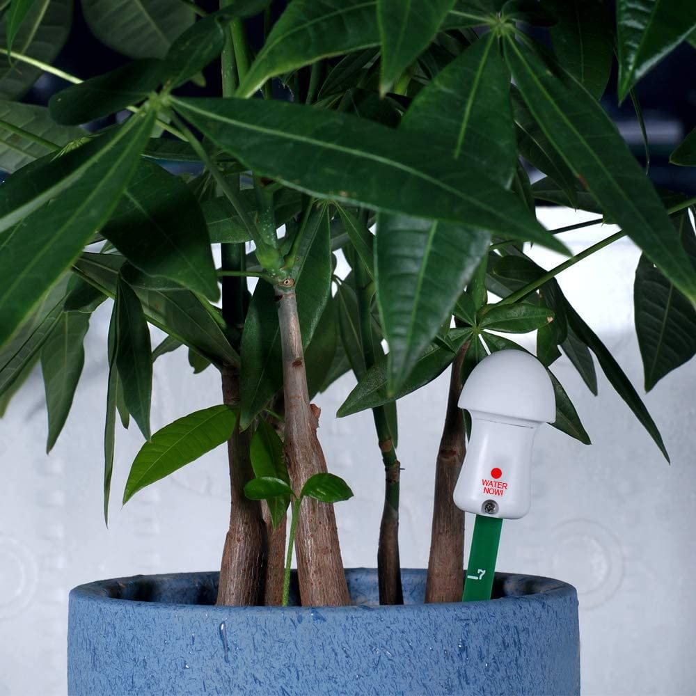 Plant Meter Soil Hygrometer Monitoring Sensor Tester with Light Flashing Prompt image number 2