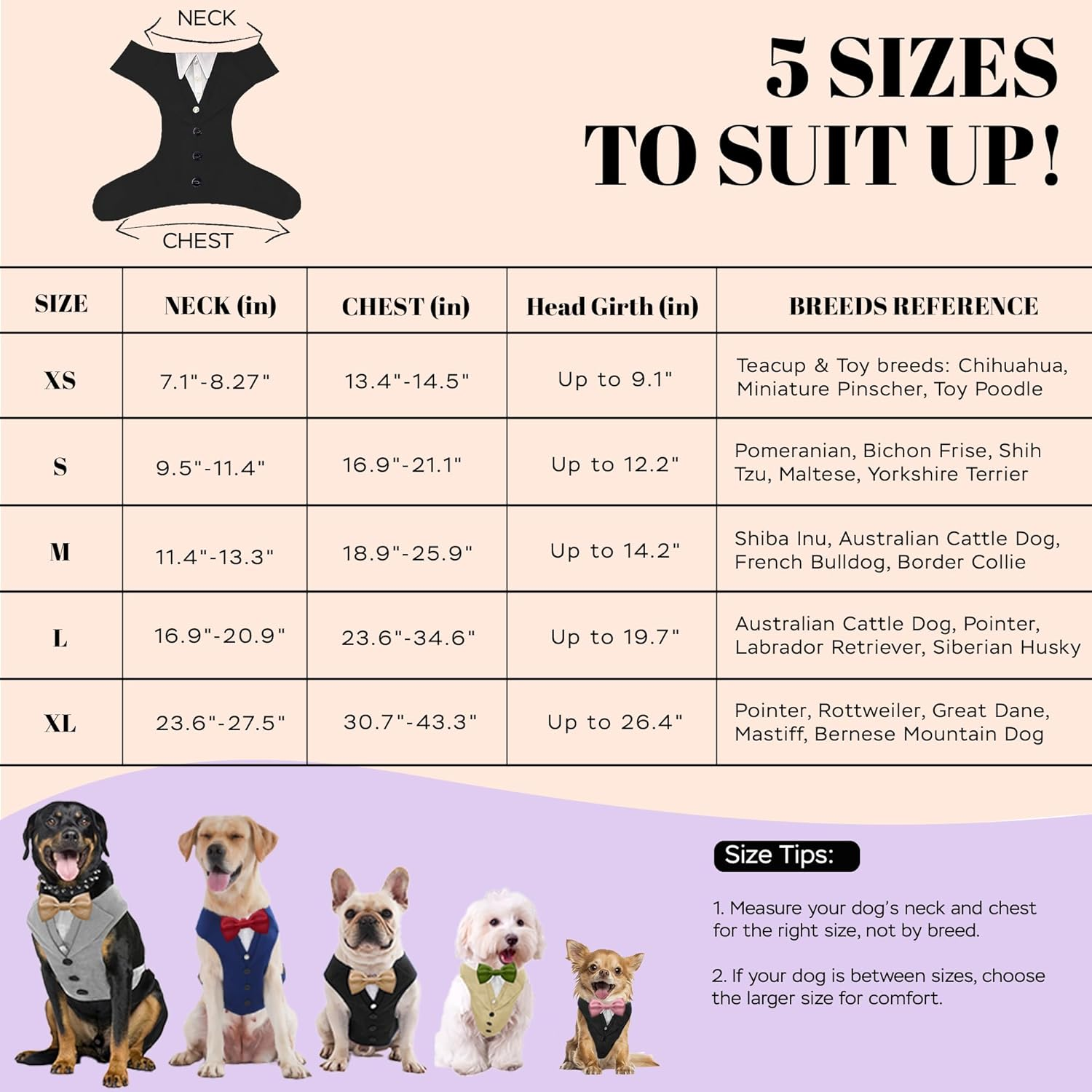 AVERYDAY XS Pet Tuxedo Harness, Wedding Costume Outfit for Small Dogs, Slim Cats and Tiny Pets with 8.3" Neck, 13-14.6" Chest, 10" Max Head Girth, Formal Suit Costume for Mini Breeds image number 3