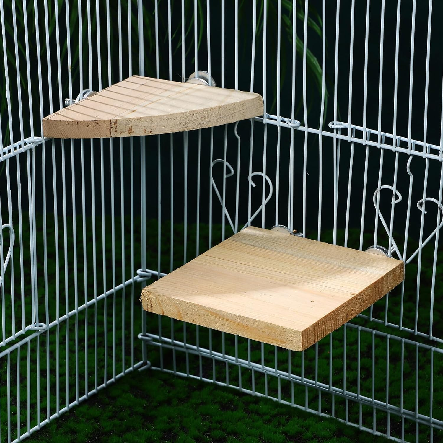 GANAZONO 2 Pcs Wooden Bird Perch Platforms for Parakeets and Small Birds Flat Natural Wood Stands with Screw Mounts Non-Toxic Cage Accessories for Cockatiels Conures Finches Slip-Resistant image number 4
