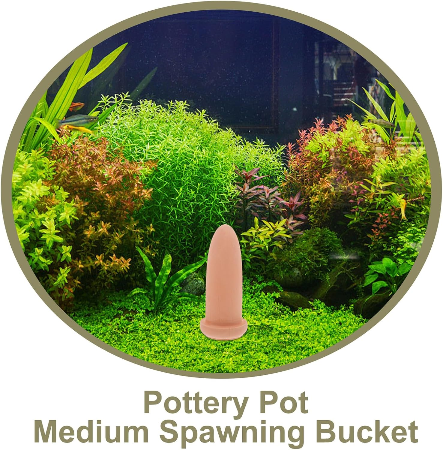 COHEALI Fish Breeding Bucket Medium Shrimp Breed Cone for Spawning Angelfish and Fish Aquatic Pets Smooth Surface Increases Egg Grasp Rate Design image number 6