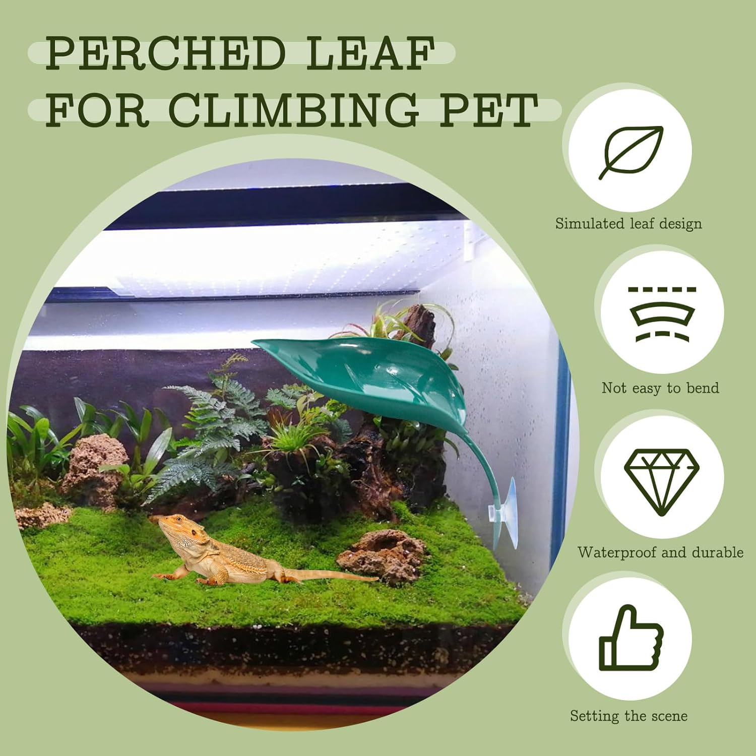 Yitexin 6 Pieces 3 Colors Betta Hammock Pad with Suction Cups, Simulating Habitat Betta Leaf Basking Bed Platform, Small Resting Tank for Tree Frog Terrarium Turtle Fish Pet (3 Color, 18.5 X 7 Cm) image number 5