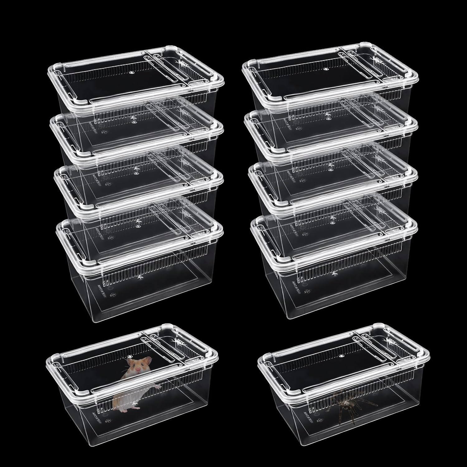 10 PCS Reptile Feeding Box, Isopod Enclosure Plastic Terrarium, Reptile Breeding Box for Bearded Gecko Dragon Lizard Spider Frog, Rreptile Carrier (Clear) image number 5