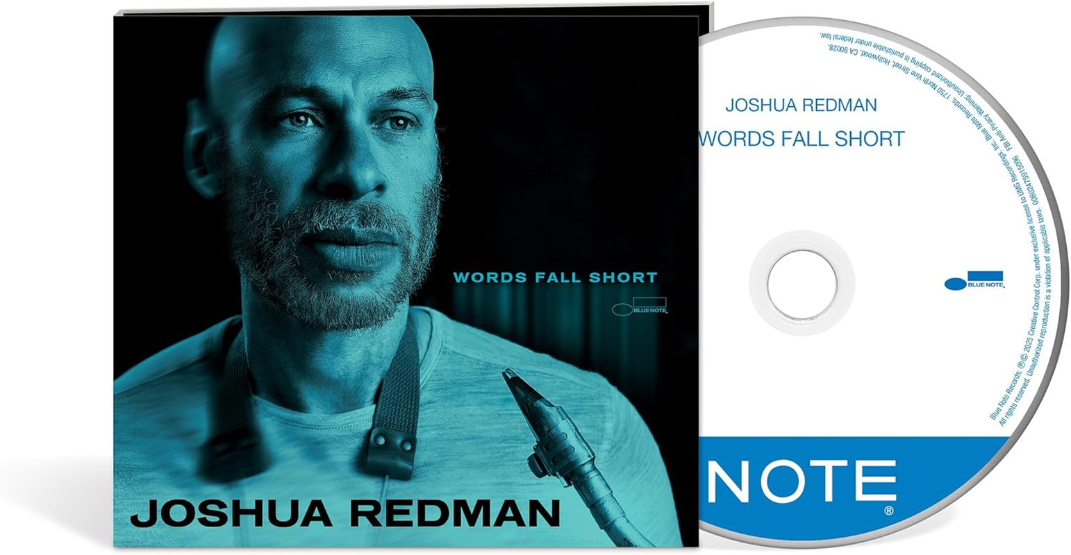 Words Fall Short image number 2