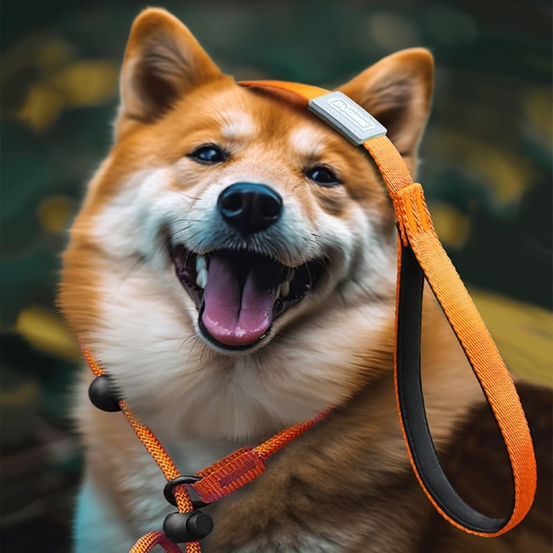 Slip Lead for Dogs Leash with Comfy Handle, 1Pc Anti-Pull Strong Adjustable Nylon Comfy Handle Dog Lead Rope, Anti-Pull Anti-Choking Training Rope for Outdoor Puppy, Orange image number 2