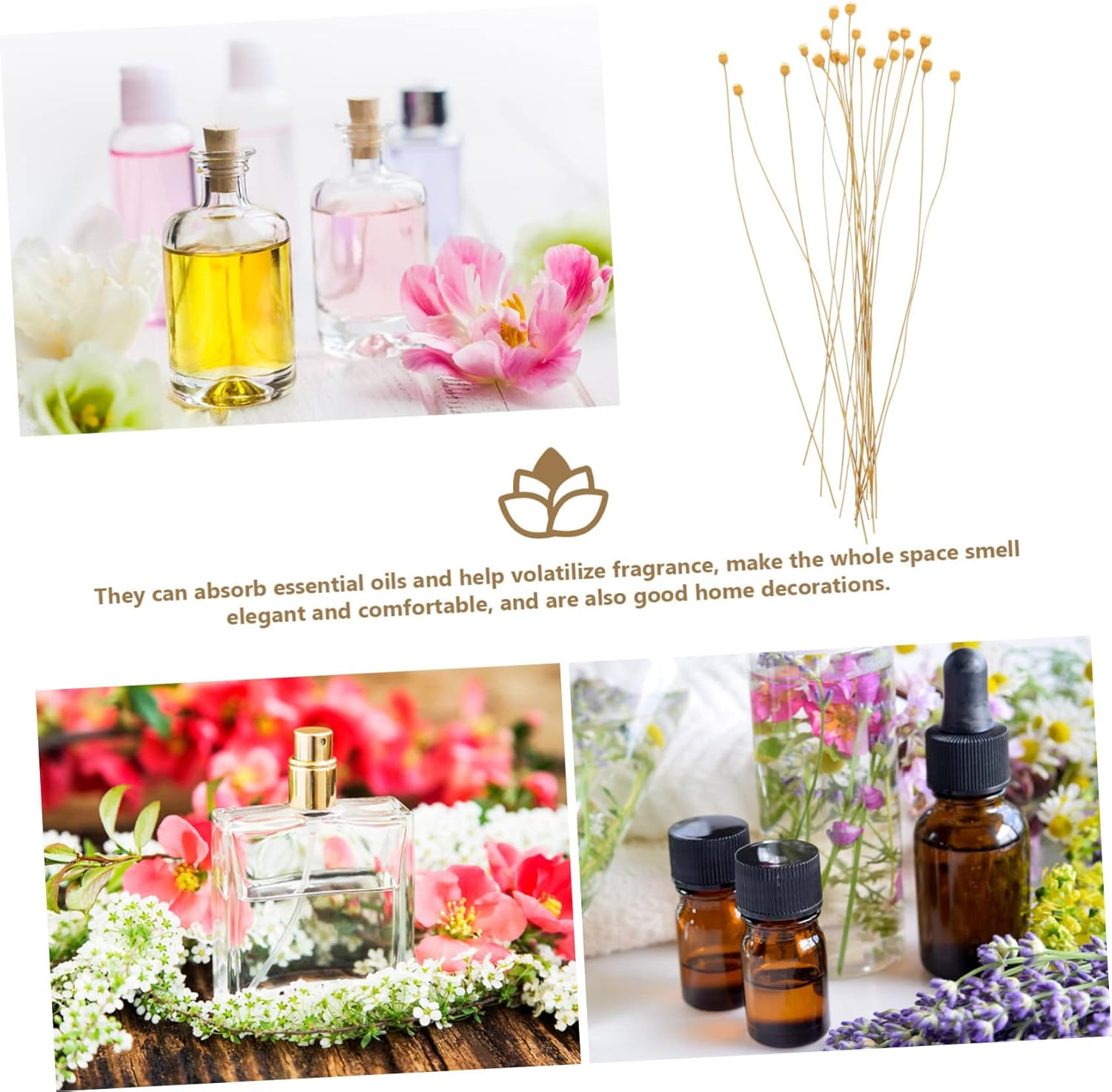 COHEALI 60Pcs Flower Reed Diffuser Stick Scented Sticks for Spa Aroma Diffusers Essential Oil Fragrance image number 6