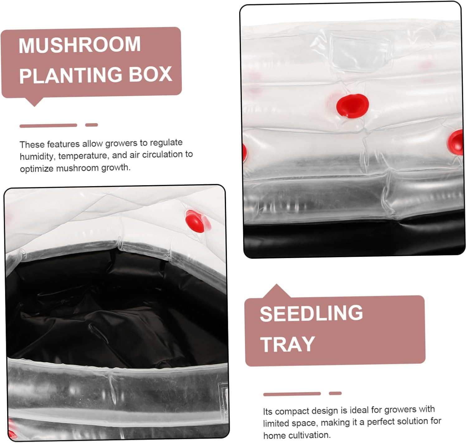 FONDOTIN Mushroom Growing Box Inflatable Planting Supply Robust Construction User-Friendly Design image number 6