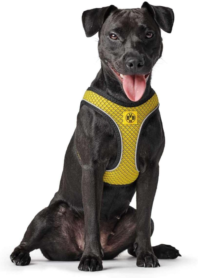 HUNTER Hilo Comfort BVB Dog Harness with 3D Mesh Material, Reflective, S-M, Yellow image number 2