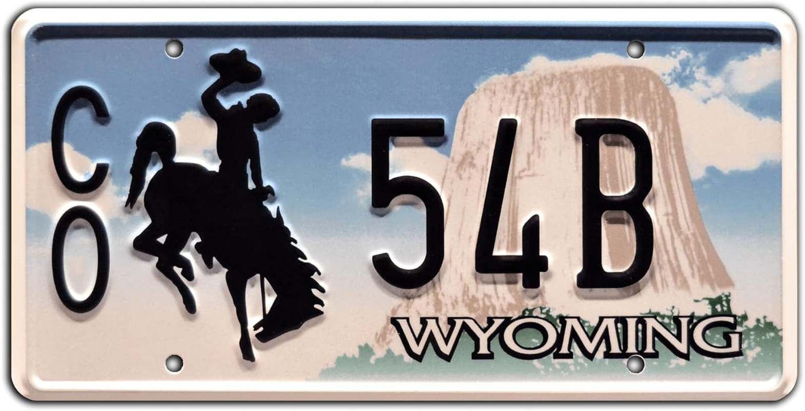 Longmire | CO 54B | Metal Stamped License Plate