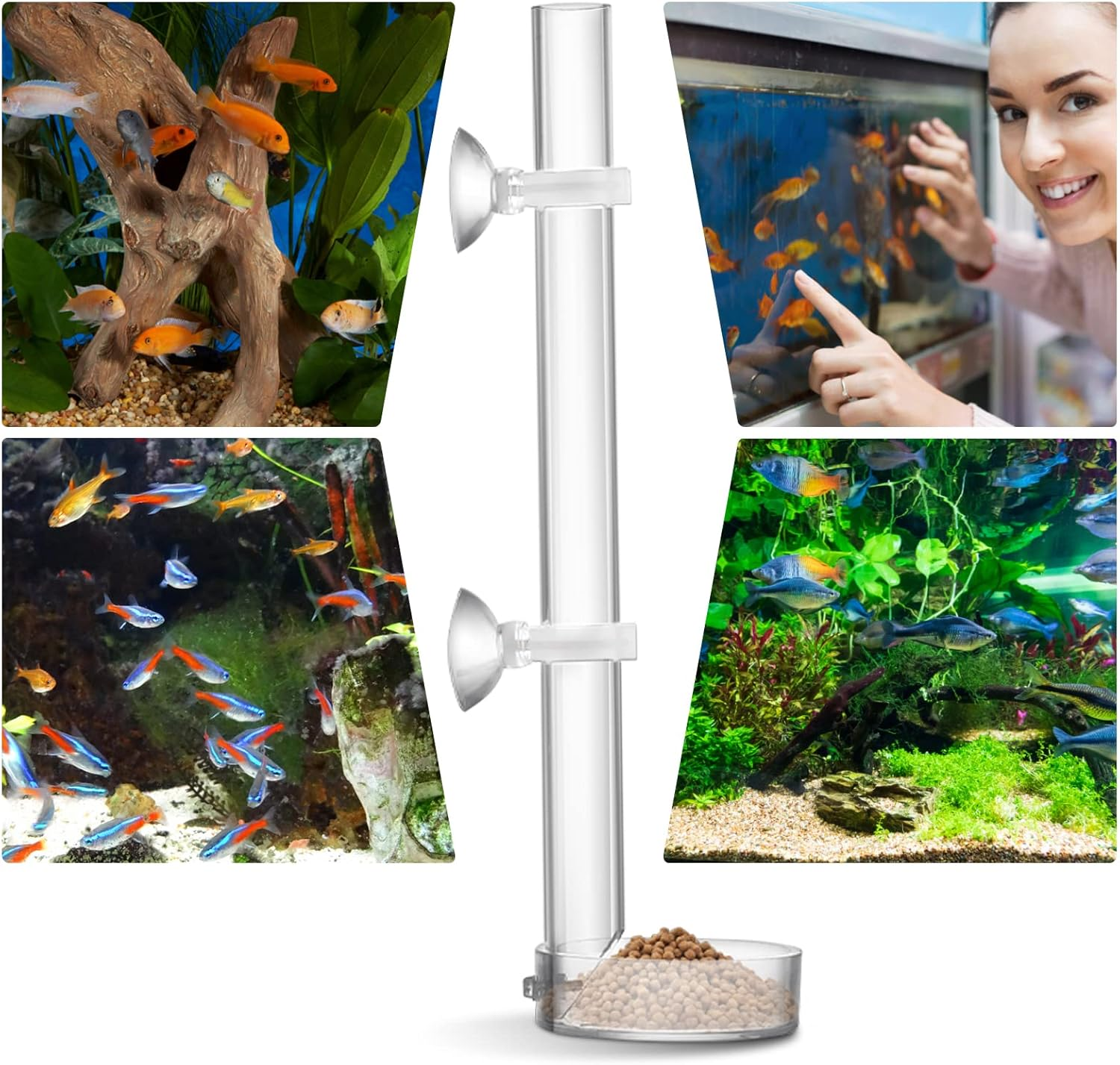 TIESOME Acrylic Fish Shrimp Feeder, Transparent Durable Aquarium Fish Shrimp Feeder, Assembled Feeding Tube Feeding Dish Tray Set for Fish Tank Aquarium Shrimp (25Cm) - Transparent image number 3