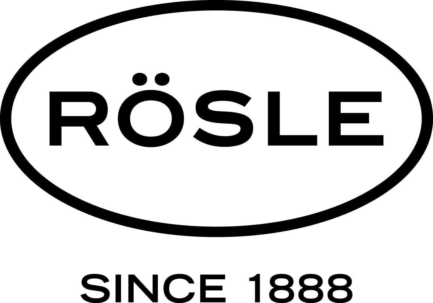 R&ouml;sle Stainless Steel Dual Speed Frother, round Handle, 10.5-Inch, Silver image number 2