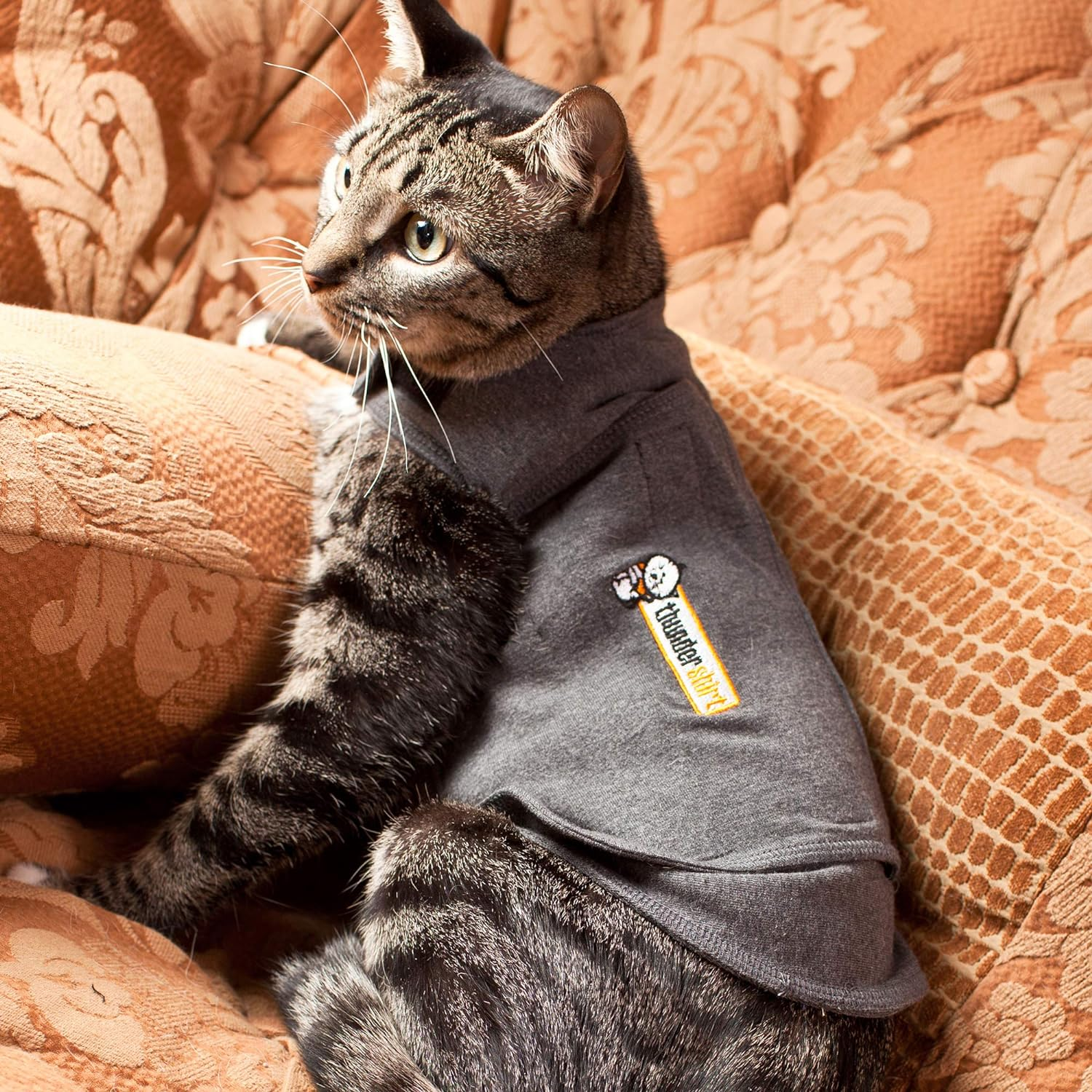 Thundershirts Cat Calming and Anxiety Jacket, Medium 13"-17", Heather Grey image number 5