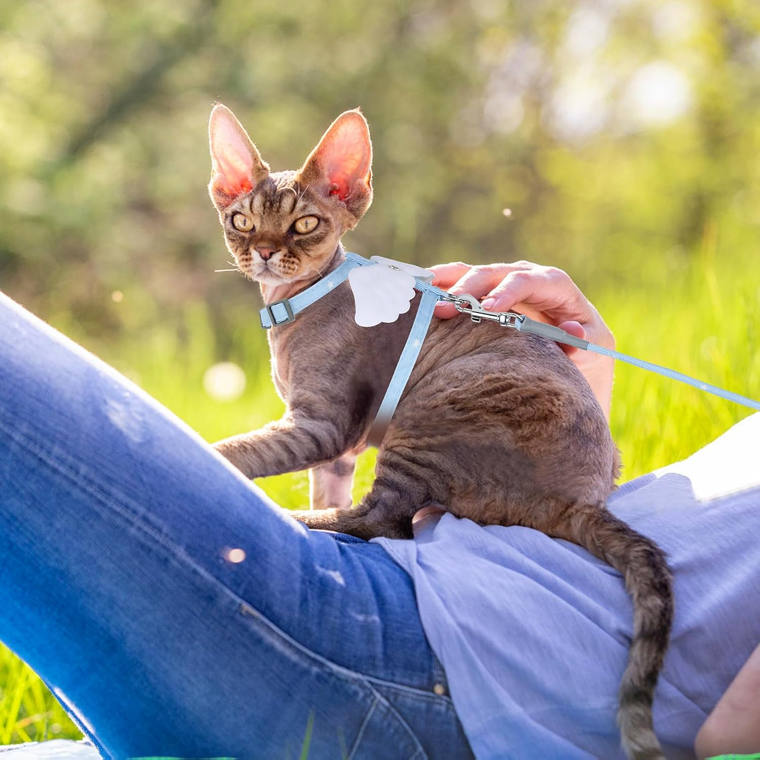 TIESOME Cat Harness and Leash Set, Adjustable Gradient Kitten Harness Escape Proof Harness with Leash for Kitty Outdoor Walking (Sky Blue) - Orange image number 2