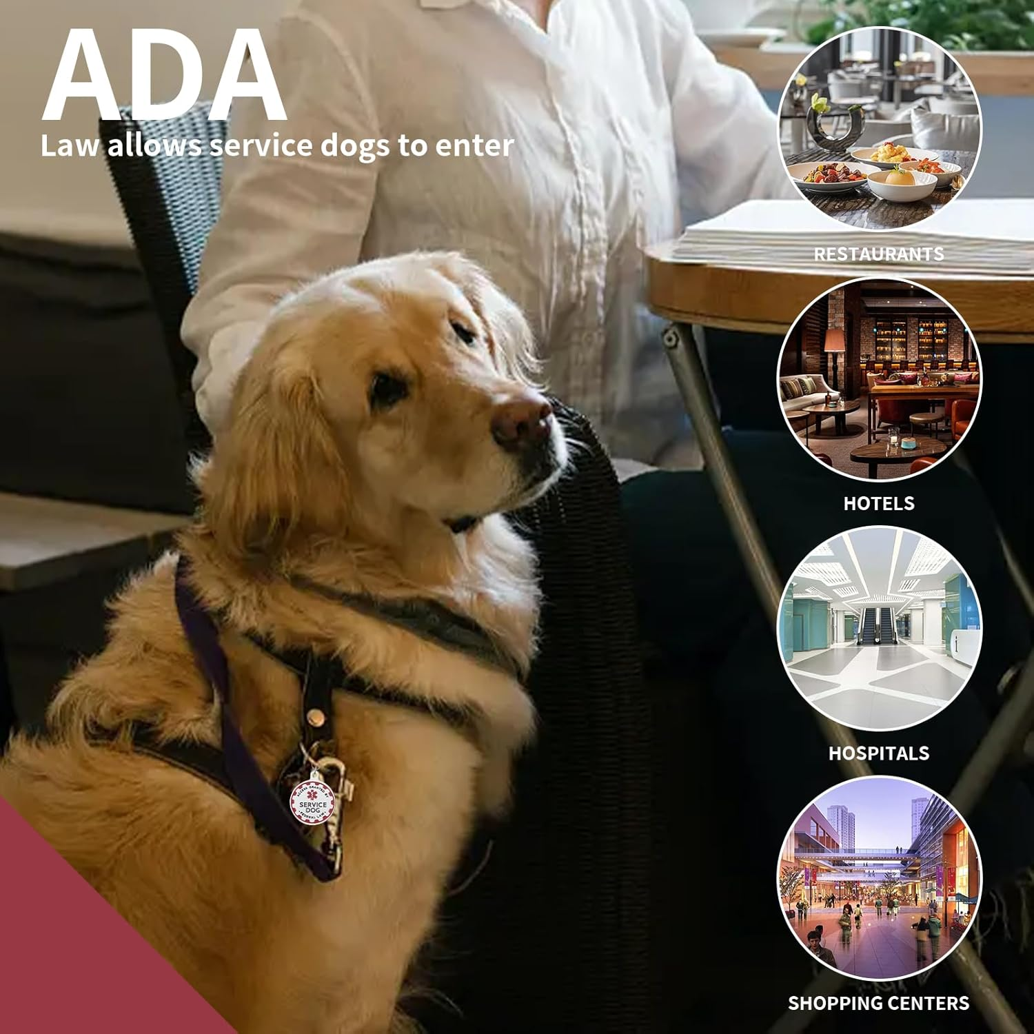 Service Dog TAG Industrial Puppy for Service Animals, Emotional Support Dogs & Therapy Dogs Entirely Surgical Stainless Steel Easily Attach to Collar, Harness-Two-Sided (Service Dog TAG) image number 5