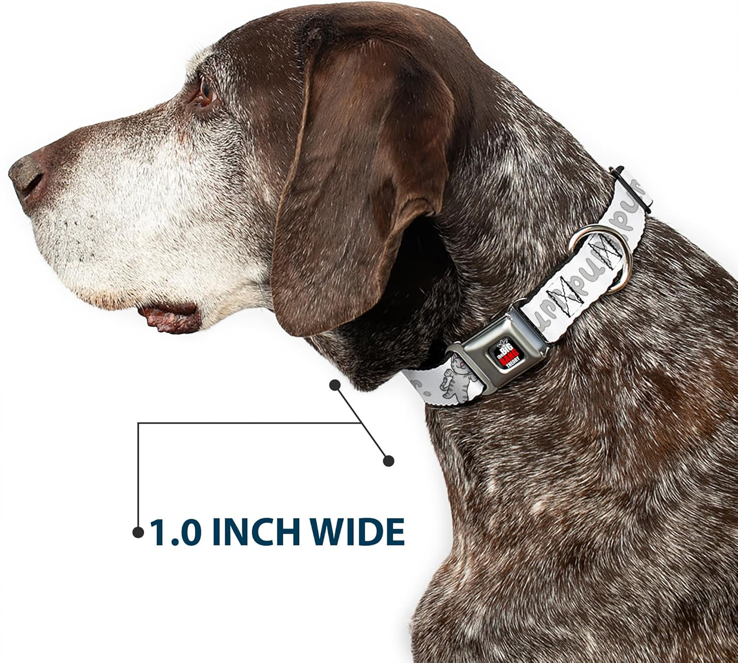 Buckle-Down Seatbelt Buckle Dog Collar - Soft Kitty Purr, Purr, Purr - 1" Wide - Fits 15-26" Neck - Large image number 2