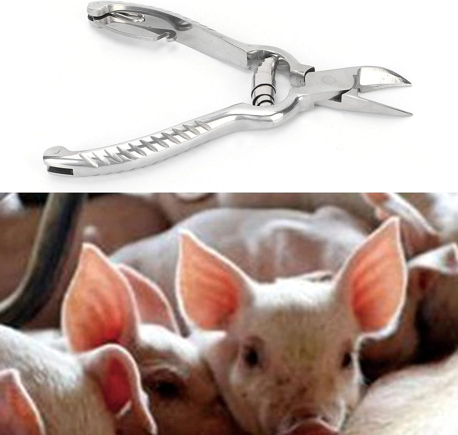 Piglet Teeth Cutter, 14Cm/ 5.5In Premium Stainless Steel Pig Tooth Nipper Teeth Clipper for Home, Farm image number 1