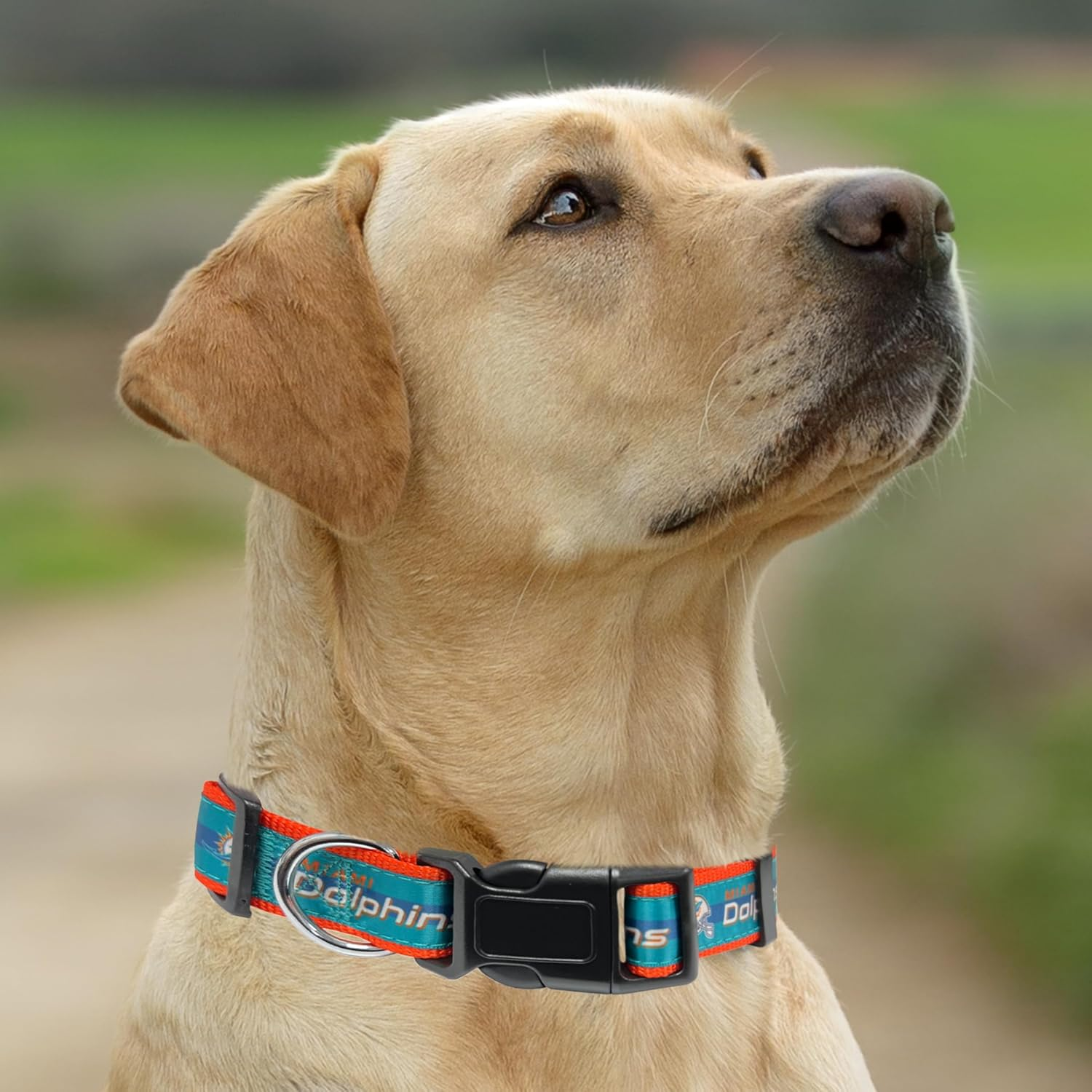 Pets First NFL Miami Dolphins Dog Collar, X-Large image number 6