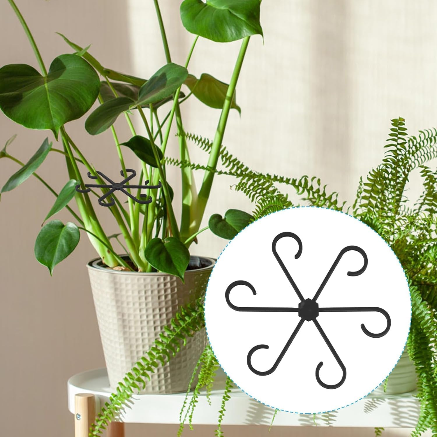 4Pcs Plant Stem Support, Climbing Houseplant Stem Supports Plant Climbers Stem Holders Plants Climbing Rack Plant Growth Accessories for Climbing Plants (Black) image number 4