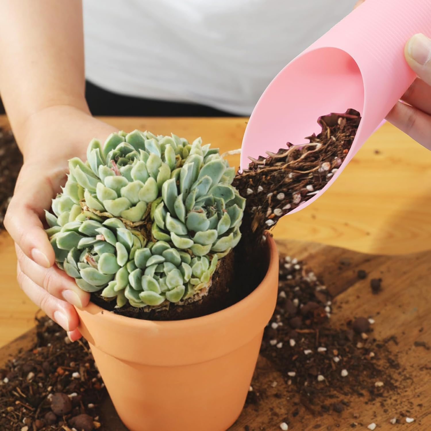 3Pc Plastic Bucket Shovel Colorful Small Soil Scoops for Gardening Supplies Succulent Plant Transplanting Shovel (Random Color) image number 1