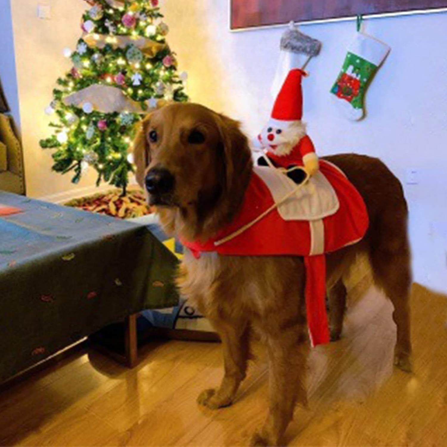 Dog Christmas Costume, Pet Dog Cat Christmas Clothes, Dog Santa Costume, Christmas Pet Clothes, Pet Clothes for Christmas, Party, Birthday (L)