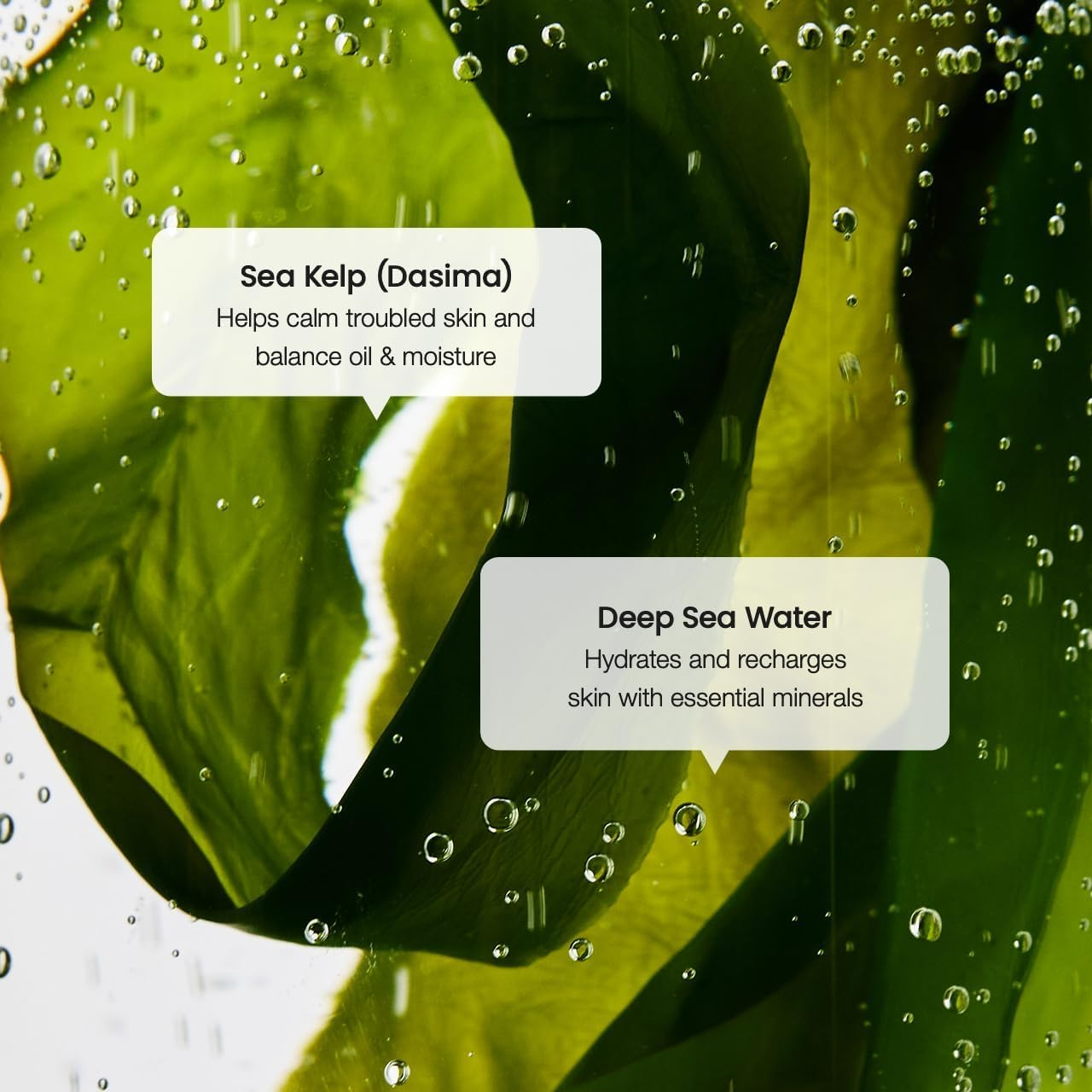 BIODANCE Refreshing Sea Kelp Serum, Oil & Sebum Control, Calming Serum for Oily & Combination Skin, Korean Skincare, Stocking Stuffers for Teen Girls | 1.01 Fl.Oz X 1 Ea image number 6