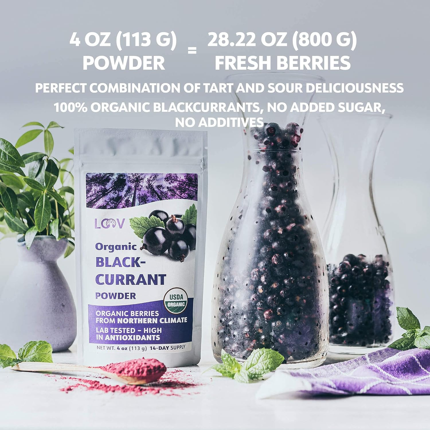 LOOV Organic Blackcurrant Powder, Made from 100% Whole Blackcurrants, Freeze Dried and Powdered Organic Blackcurrants, 113 Grams, 14-Day Supply, Grown in Northern Europe, No Added Sugar image number 6