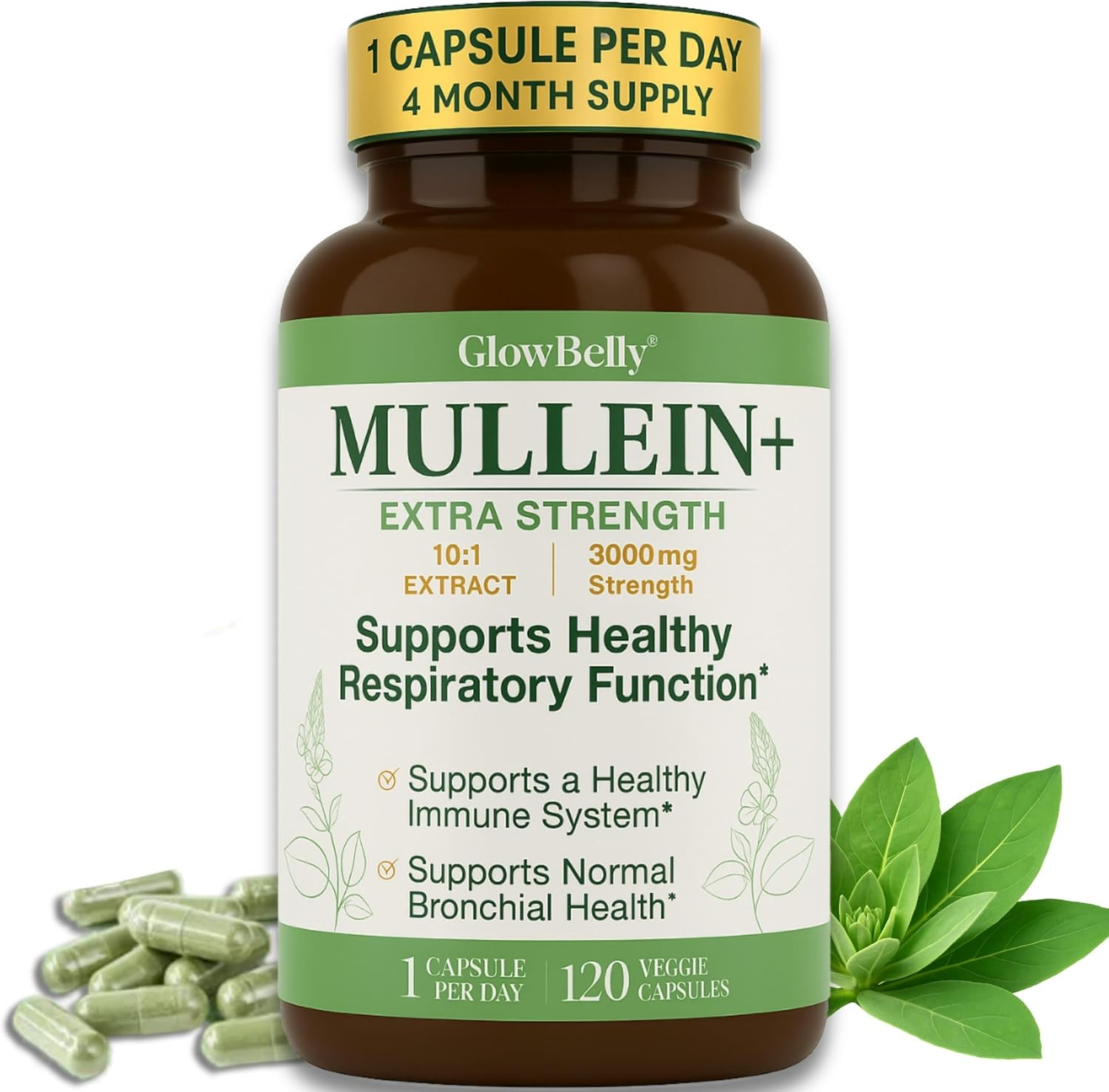 Extra Strength Mullein Leaf 10:1 Extract | 3000Mg Equivalent | 1-A-Day Formula | 120 Vegan Capsules | Non-Gmo, Gluten-Free Herbal Supplement by Glowbelly image number 4