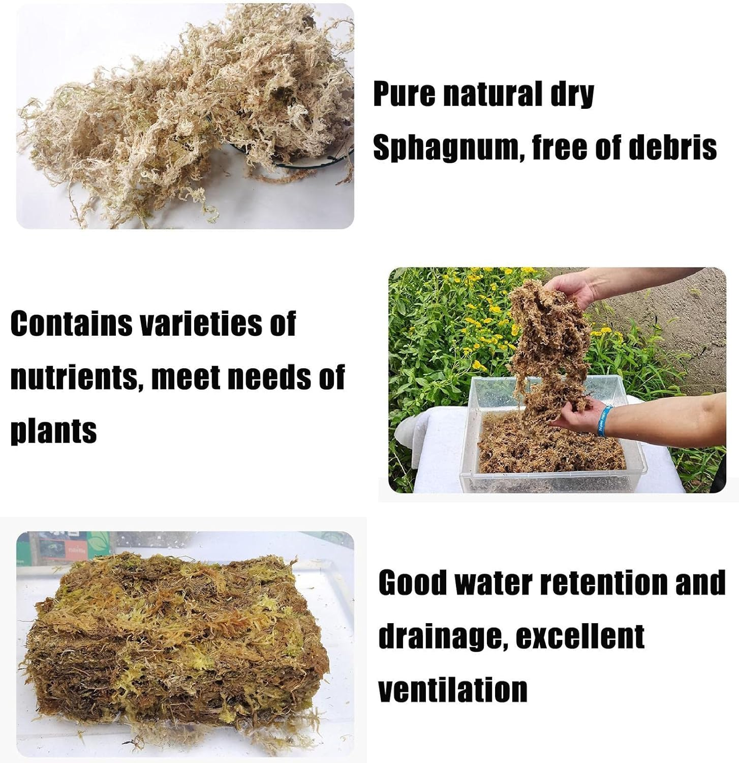 Natural Sphagnum Moss,Orchid Potting Mix | Natural Orchid Potting Mix, Perfect for Rooting Plants and Cuttings Kuitgh - 5 Pcs Standard image number 7