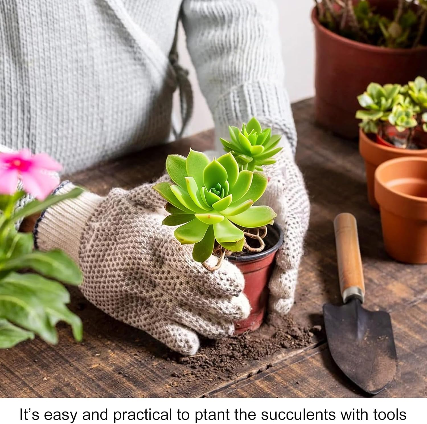 4Pcs Stainless Steel Garden Tools - Mini Gardening Kit with Pruning Scissors for Digging, Succulent Care - Houseplant Tools & Gardener Gifts