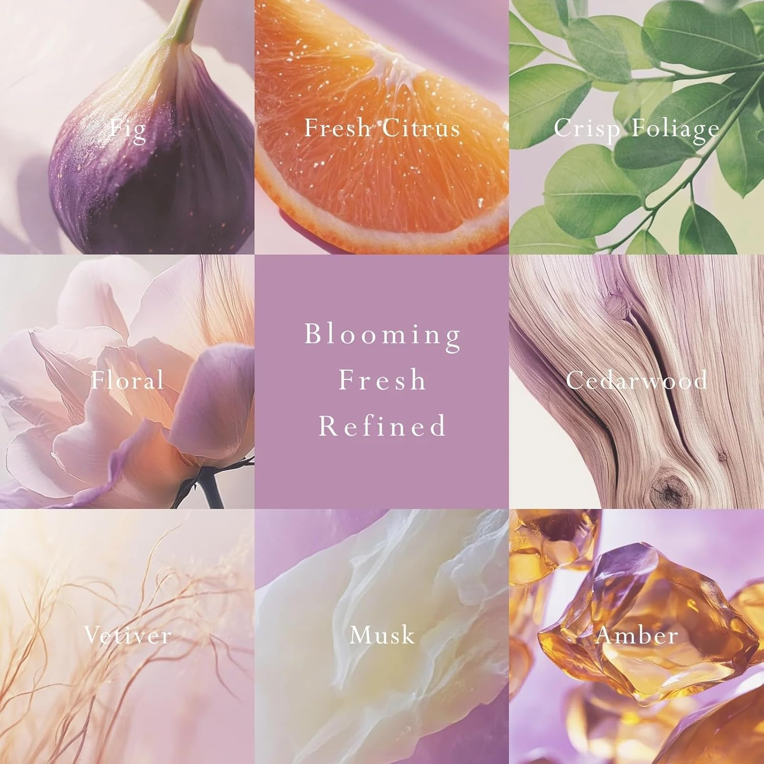 MOR Boutique Emporium Classics Blanc Primavera Fig Car Diffuser Refill 3PCS image number 2