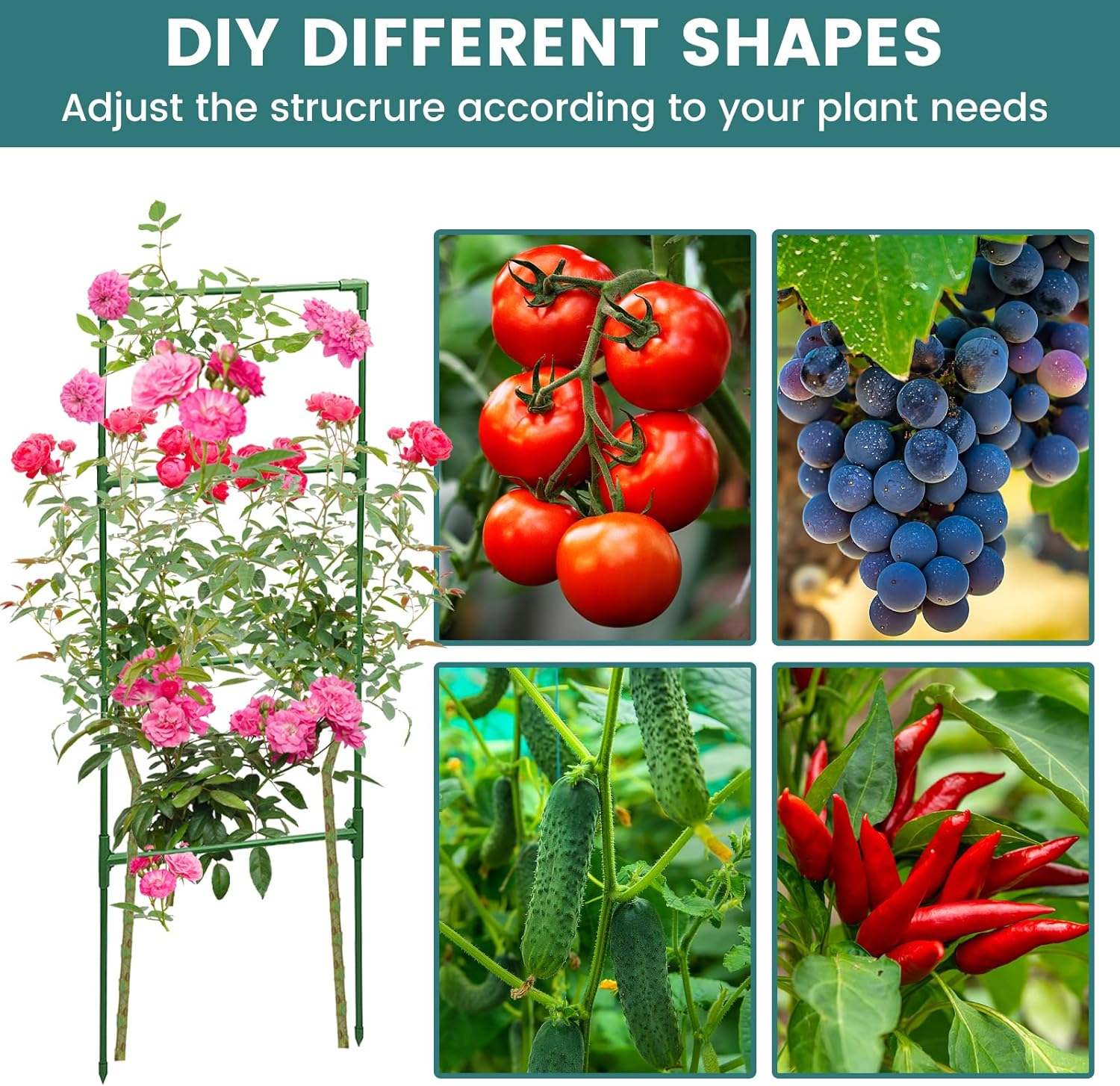 MYMULIKE Tomato Cages, 3 Packs Square Tomato Plant Support Stakes, 41.5 * 15 * 15In Heavy Duty Plant Support Trellis for Garden Climbing Vegetables Flowers Fruits with 10Pcs Clips image number 6