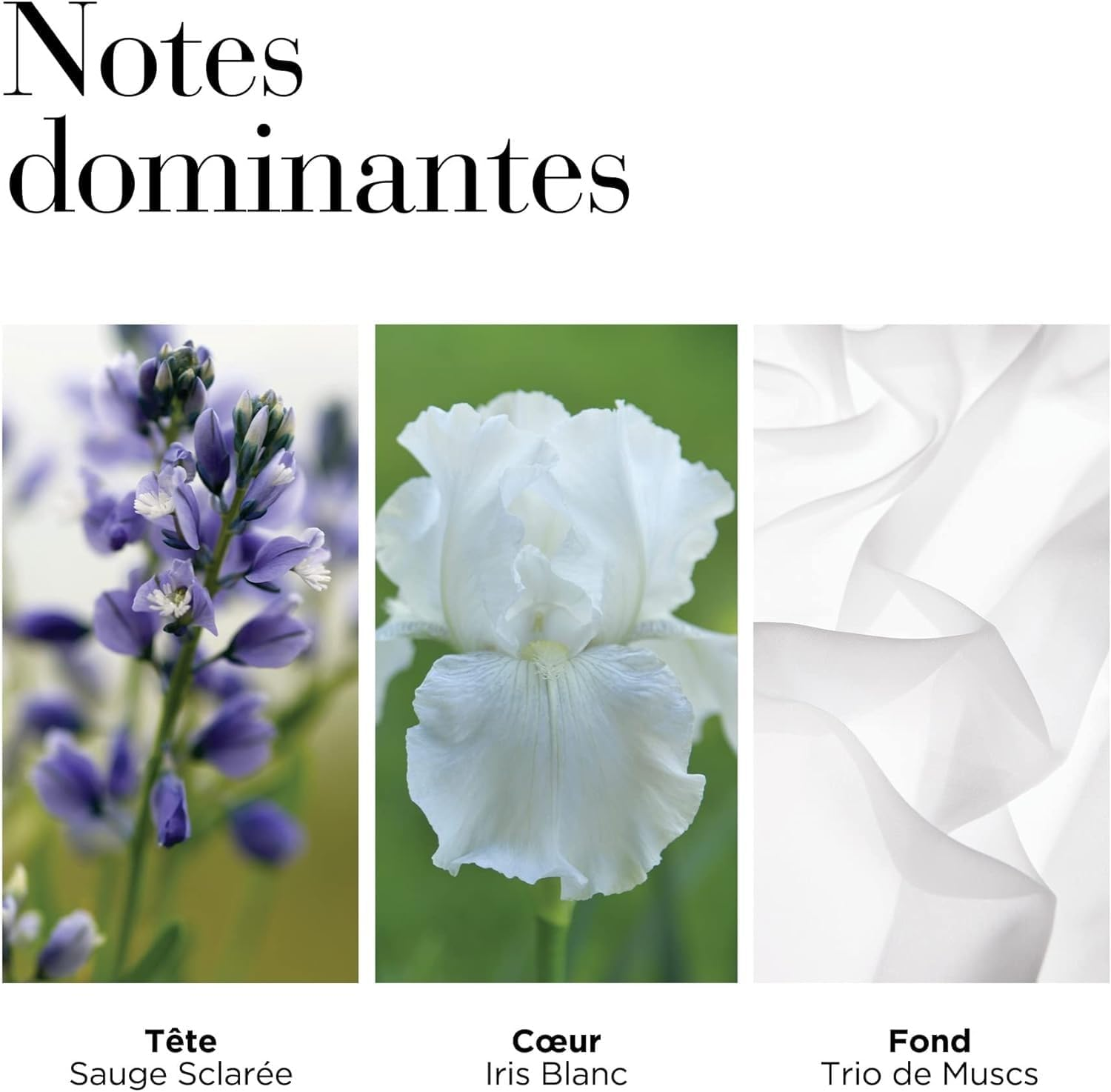 Elizabeth Arden White Tea image number 1