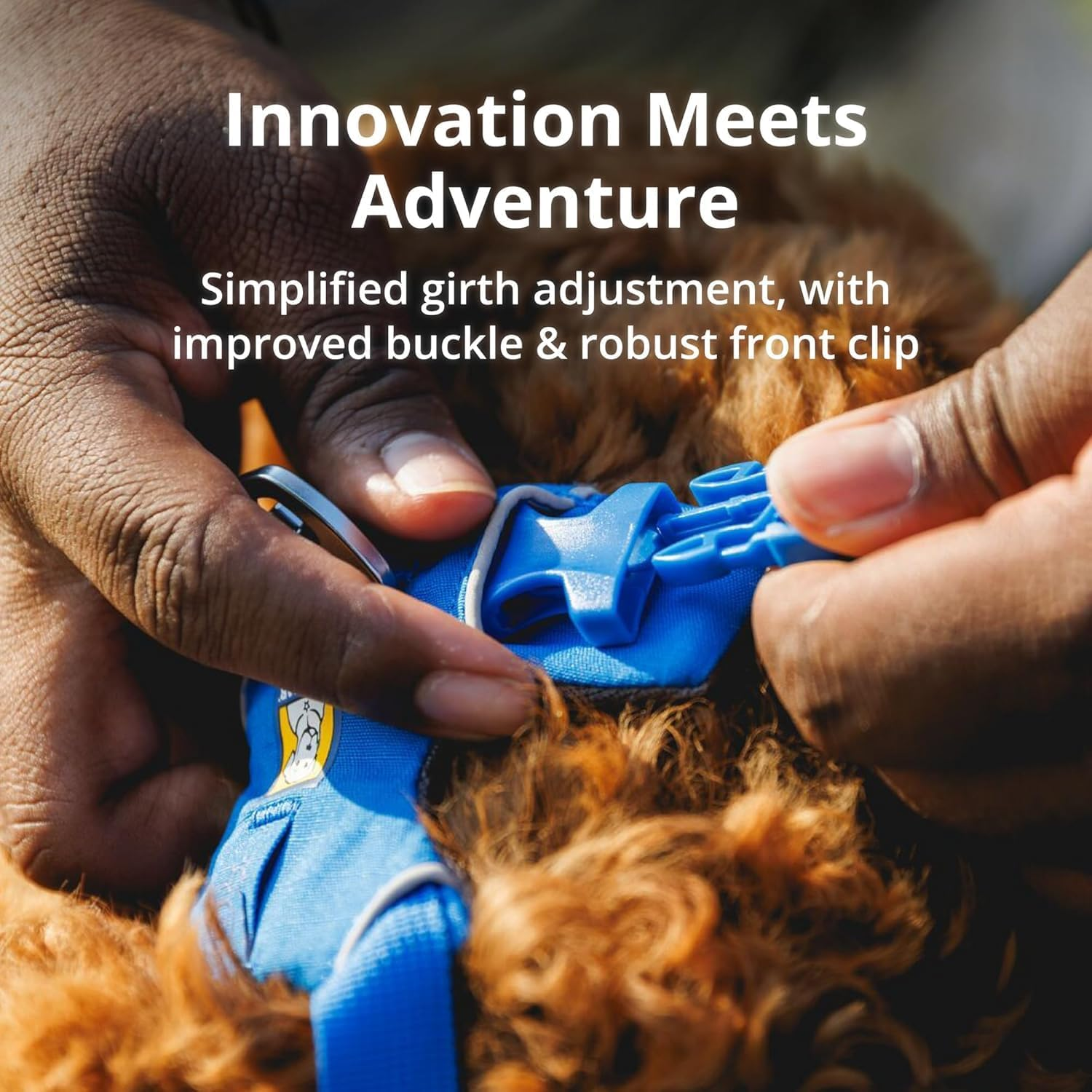 Ruffwear Front Range Harness Blue Pool L/XL image number 3