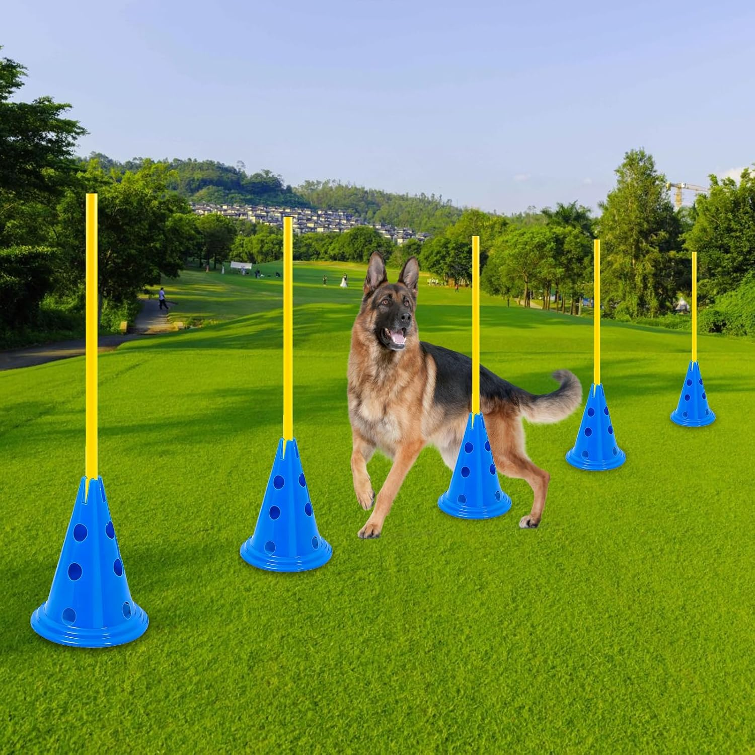 AEDNX Dog Agility Hurdle Cone Set Dog Agility Course Backyard Set Include 12 Agility Cones 6 Agility Rods Agility Training Equipment Height Adjustable Obstacle with Storage Bag Blue image number 3
