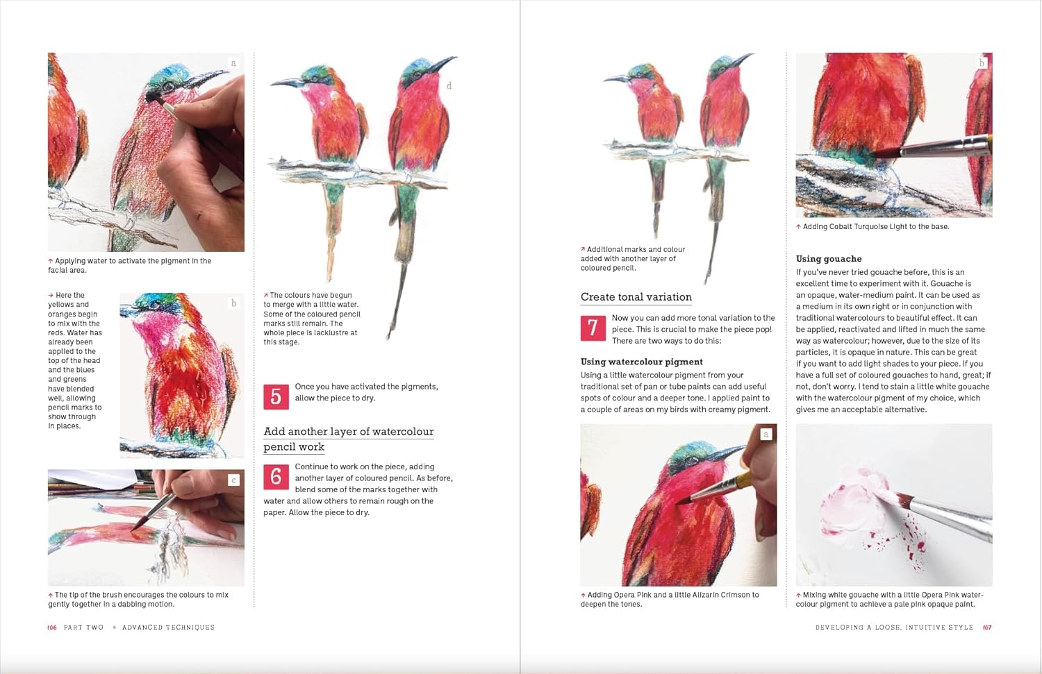 Painting Birds: Expressive Watercolour Techniques image number 4