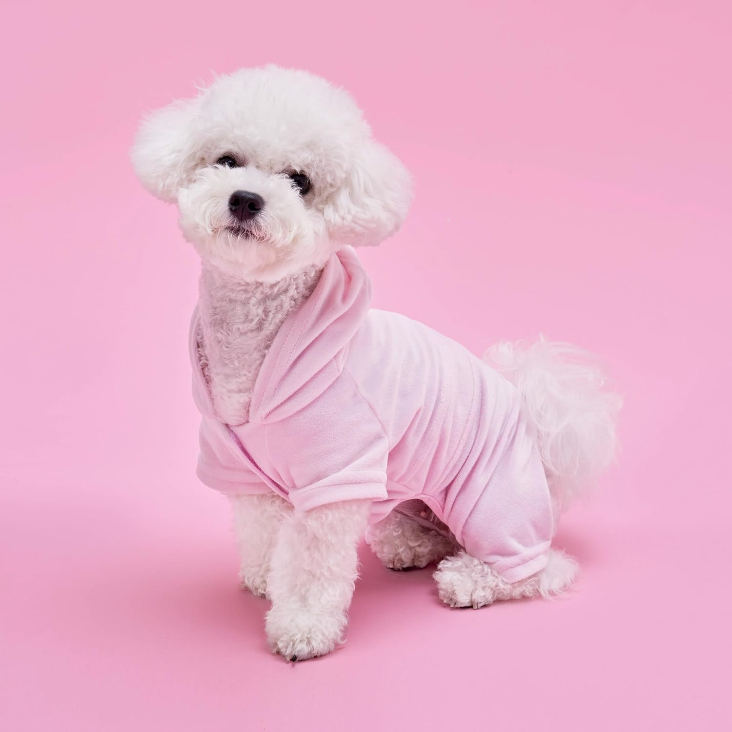 Juicy Couture Hooded Pet Juicy Bling Velour Tracksuit Chest 16 Inches for Small Dogs and Cats - Pink - XS/S image number 2