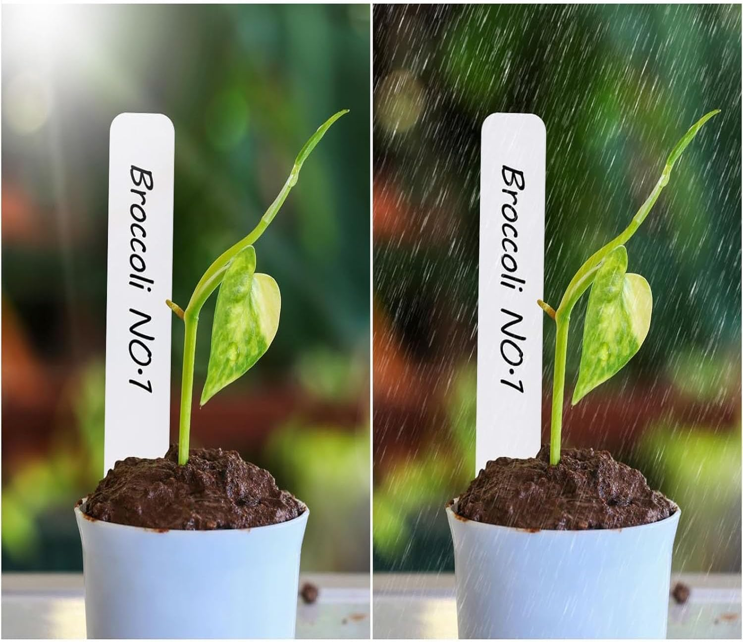 Limcryspp 100-Piece Plastic Plant Label Outdoor Waterproof Garden Marking Plate with Marker Pen, Suitable for Classification Nameplates of Herbaceous, Vegetable and Flower Cultivation image number 1